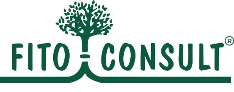 Fito Consult